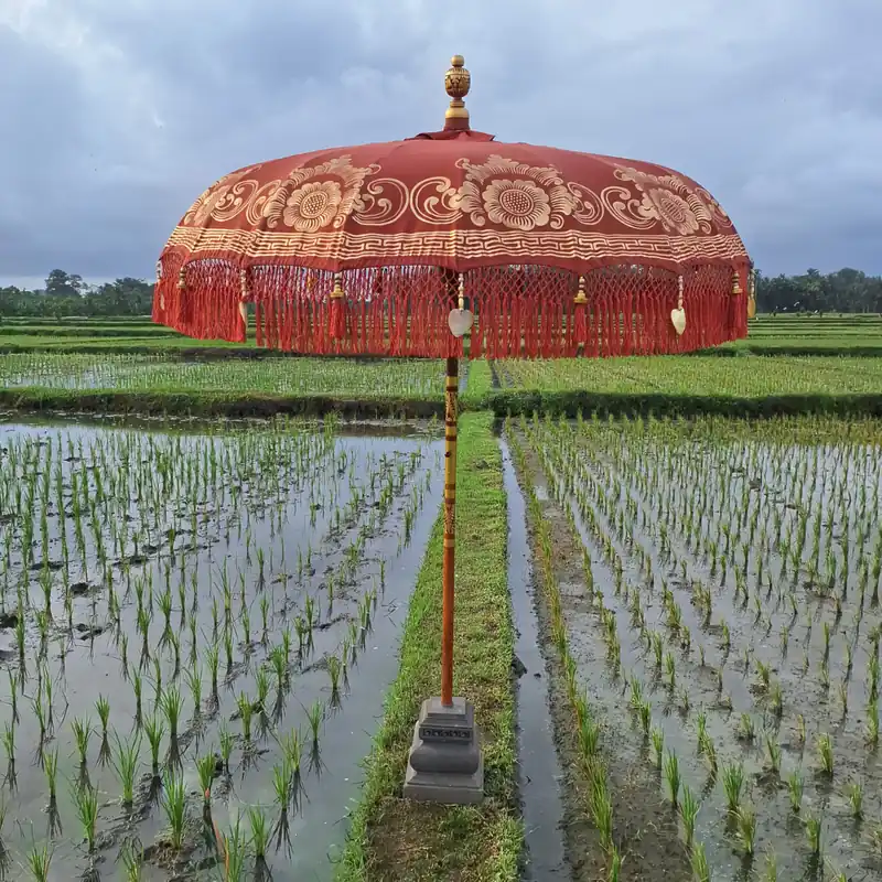 Terra Bali parasol met goud Bestseller