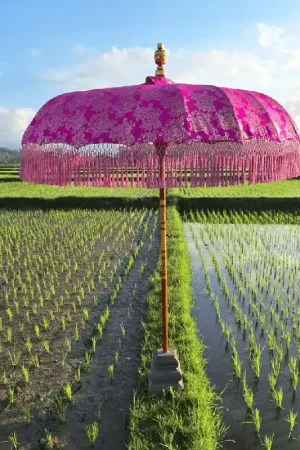 Wonderella parasol Fuchsia dream Speciale Aanbieding