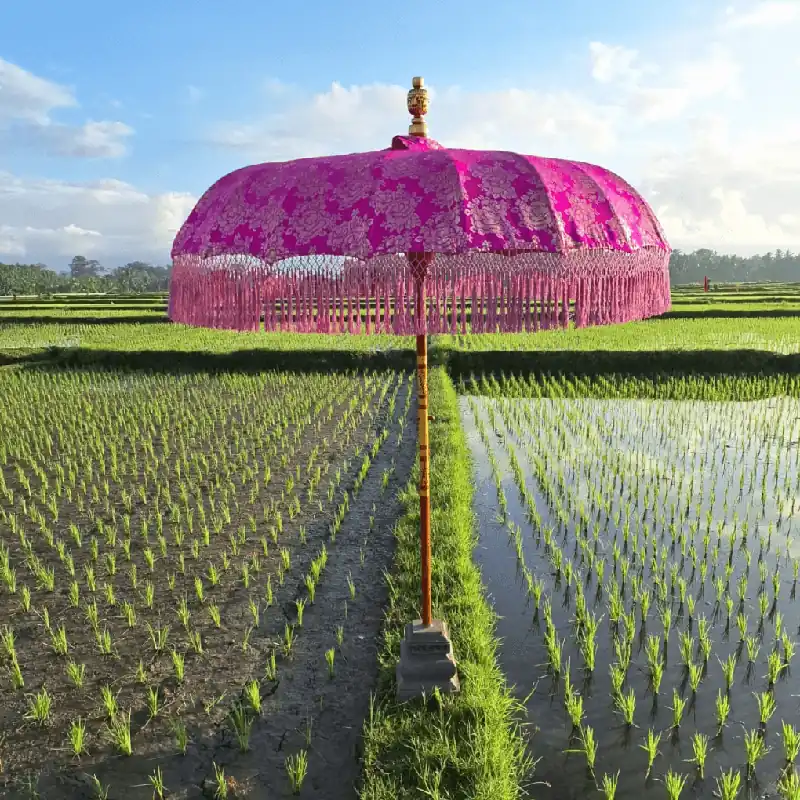 Wonderella parasol Fuchsia dream Speciale Aanbieding
