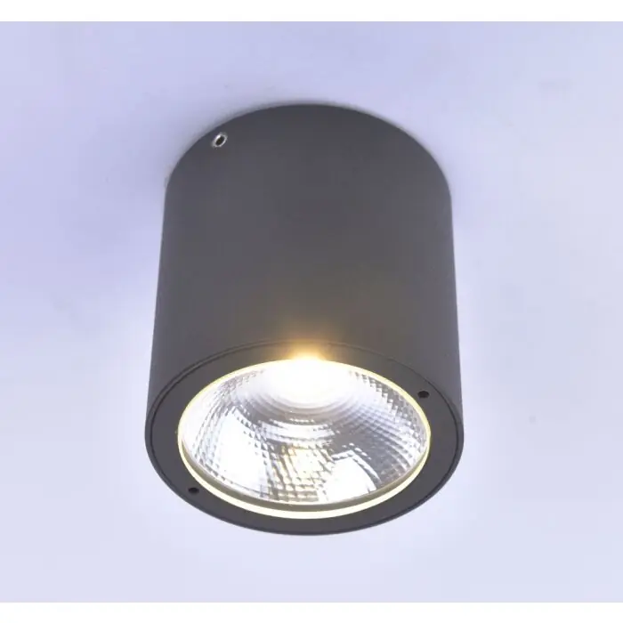 Paul Neuhaus GEORG Plafondlamp LED Antraciet, 1-licht Direct Verzonden