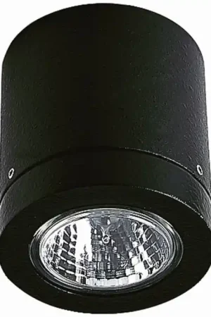 Albert 2140 Plafond opbouw verlichting Zwart, 1-licht Merkproduct