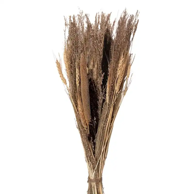 Laatste Kans Clayre & Eef Droogbloemen 60 cm Beige Droogbloemen