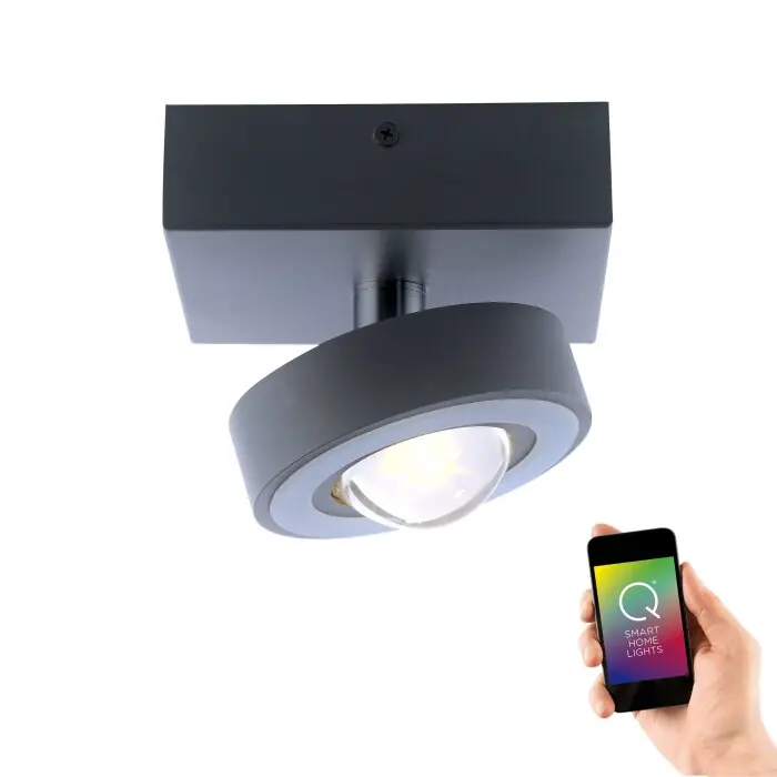 Voordeelprijs Paul Neuhaus Q-MIA Plafondlamp LED Antraciet, 1-licht, Afstandsbediening