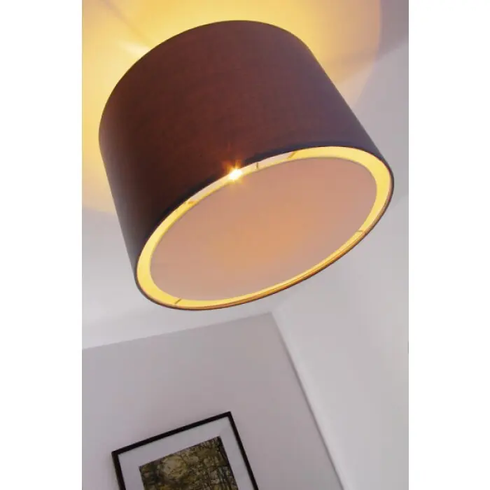 Brilliant Clarie Plafondlamp roestvrij staal, 1-licht Meest Verkocht