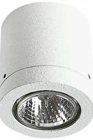 Koop Online Albert 2140 Plafond opbouw verlichting Wit, 1-licht