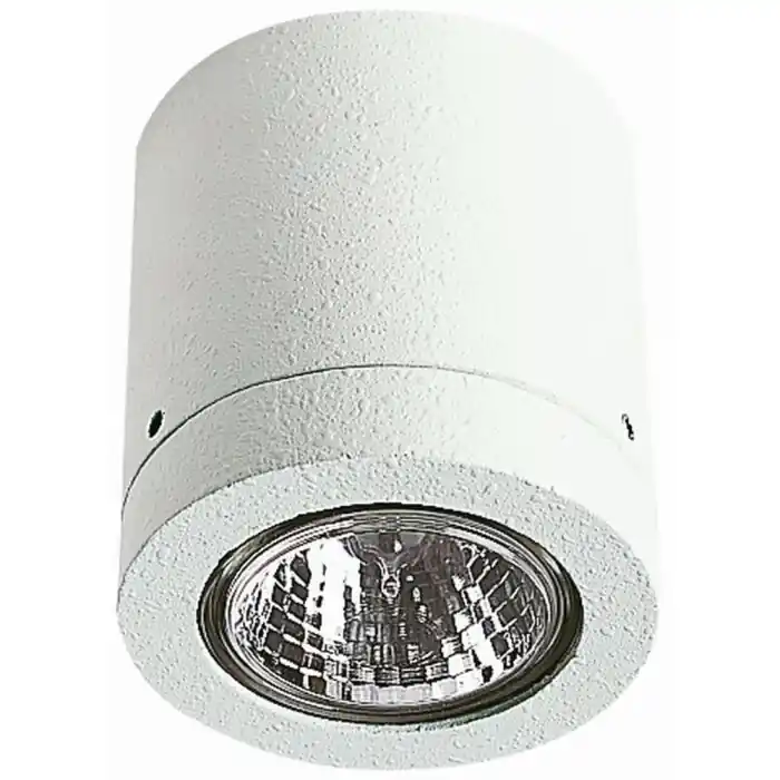 Koop Online Albert 2140 Plafond opbouw verlichting Wit, 1-licht