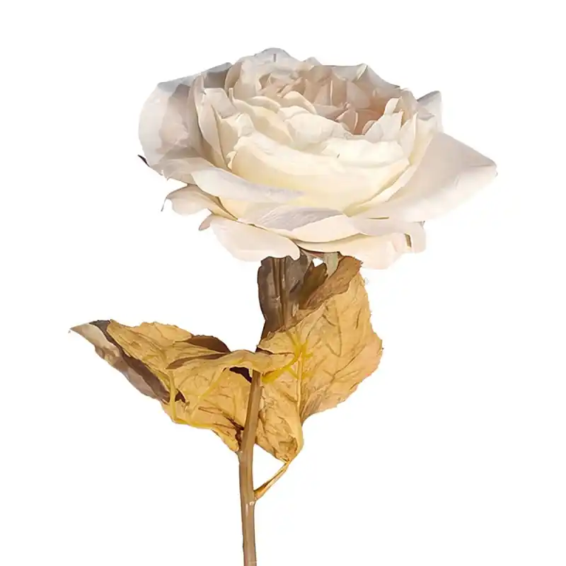 Beste Prijs Clayre & Eef Kunstbloem Wit Kunststof