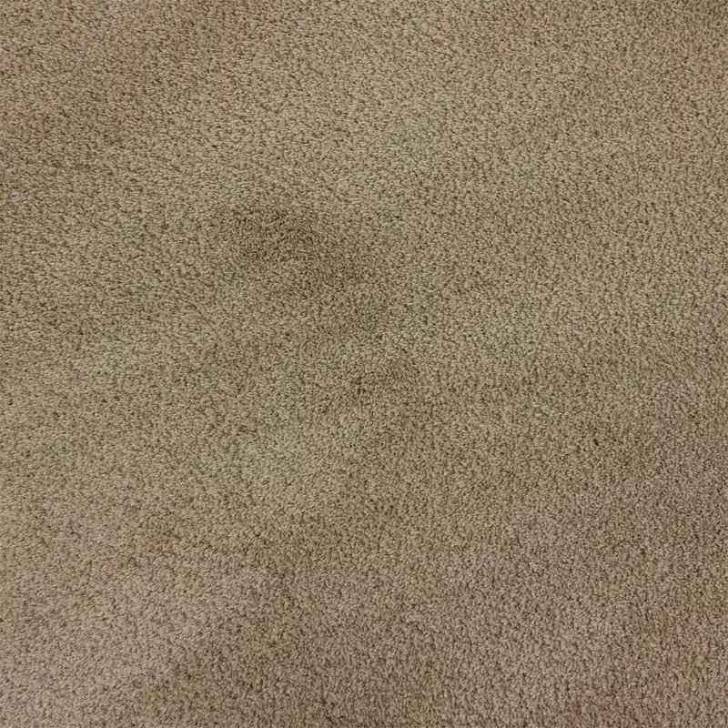 Vloerkleed Xilento Silky Soft Dessert Stone 200 x 300 cm Flitsaanbieding