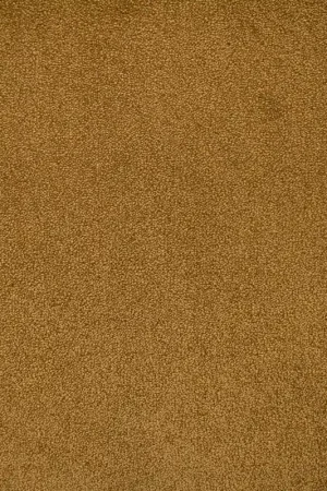 Beste Prijs Vloerkleed Xilento Shine Mosterd Kidney 200 x 300 cm