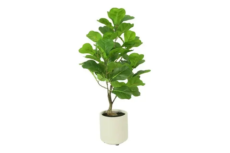 Rechtstreeks Van De Fabrikant Kunstpl ficus lyrata 15x15x66cm grn