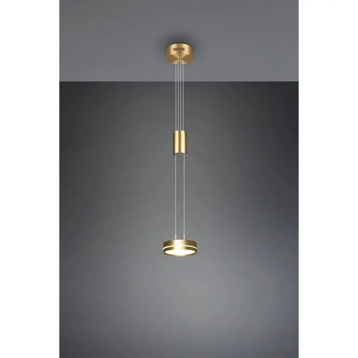 Trio-Leuchten Franklin Hanglamp LED Messing, 1-licht Gereduceerde Prijs