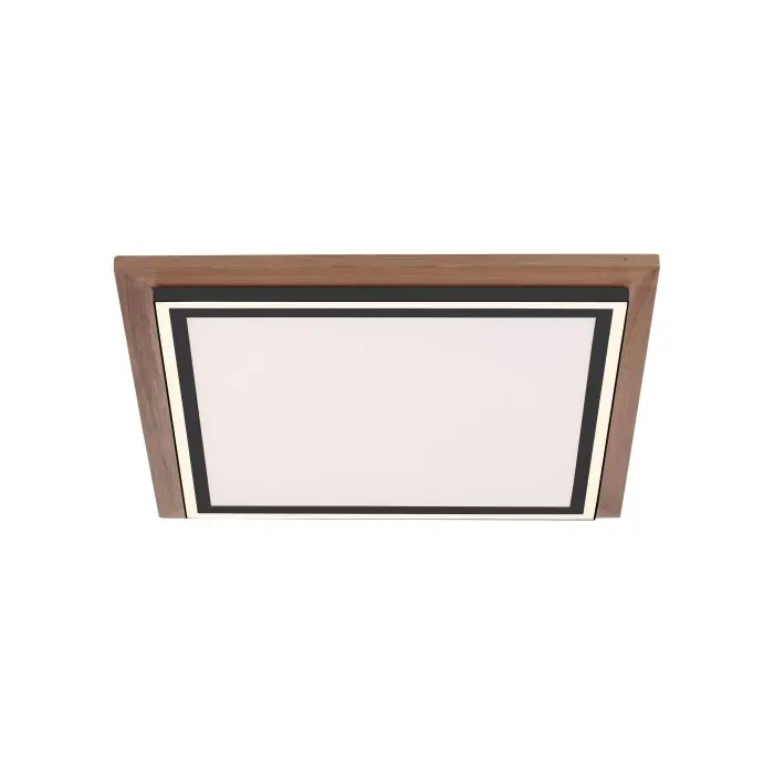 Paul-Neuhaus PALMA Plafondlamp LED Natuurlijke kleuren, Zwart, 2-lichts, Afstandsbediening Snelle Levering