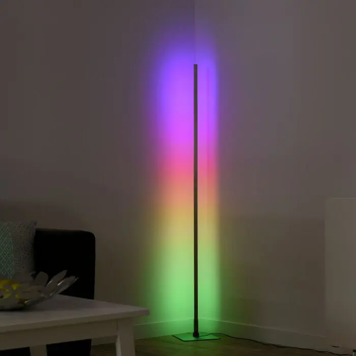 Aanbieding Leuchten-Direkt HENRY Staande lamp LED Staal geborsteld, 1-licht, Afstandsbediening, Kleurwisselaar