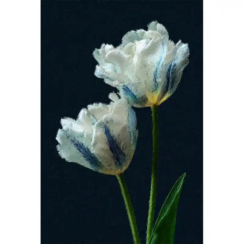 Korting Elegante Witte Tulpen