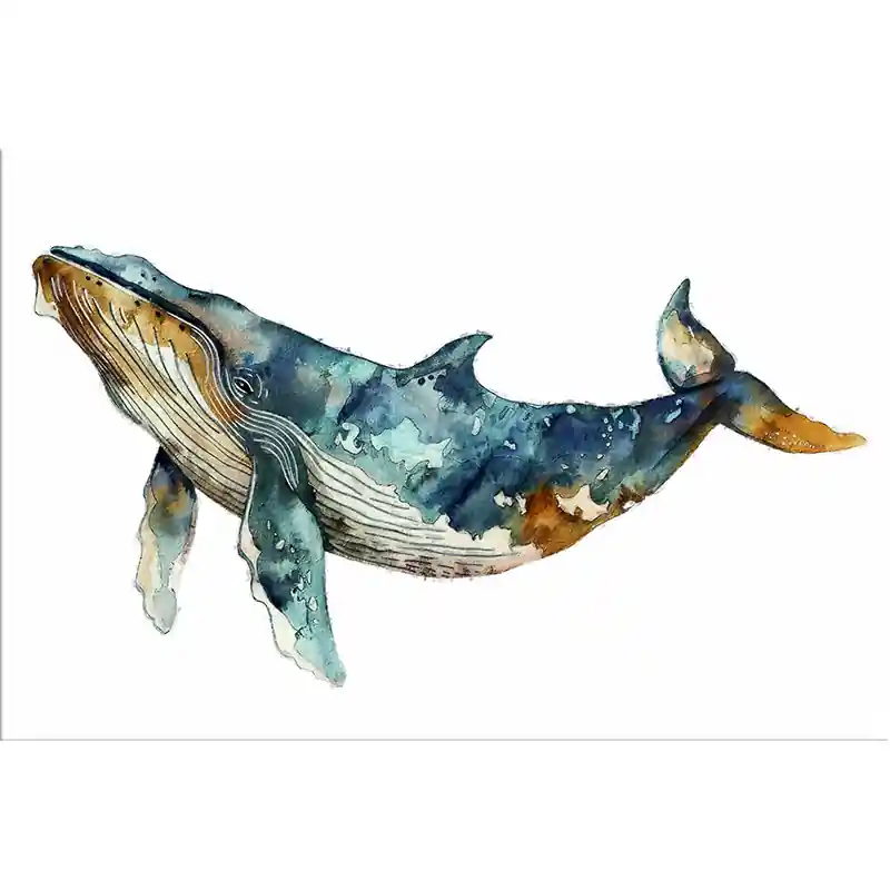 de blauwe Walvis II Koopje
