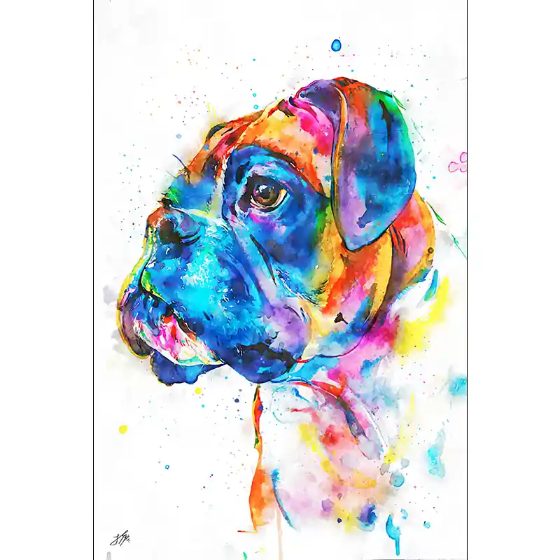 Dagaanbieding Hond 1