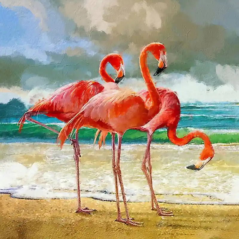 Flamingo 3 Tijdelijk Beschikbaar