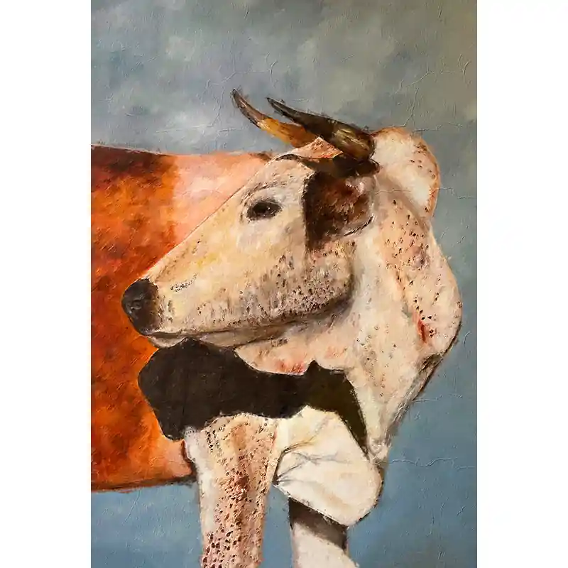 Koopje Stier 6