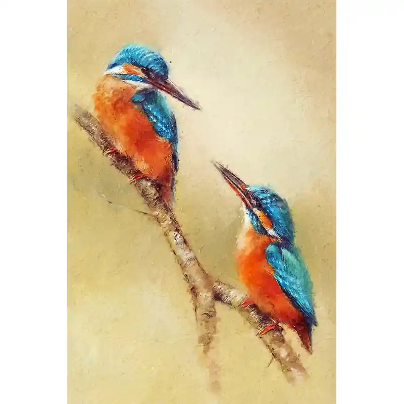 Nu Kopen Vogels liefde