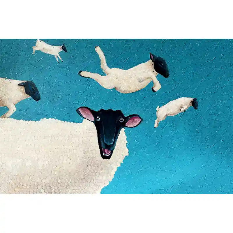 Vliegende Schapen Gereduceerde Prijs