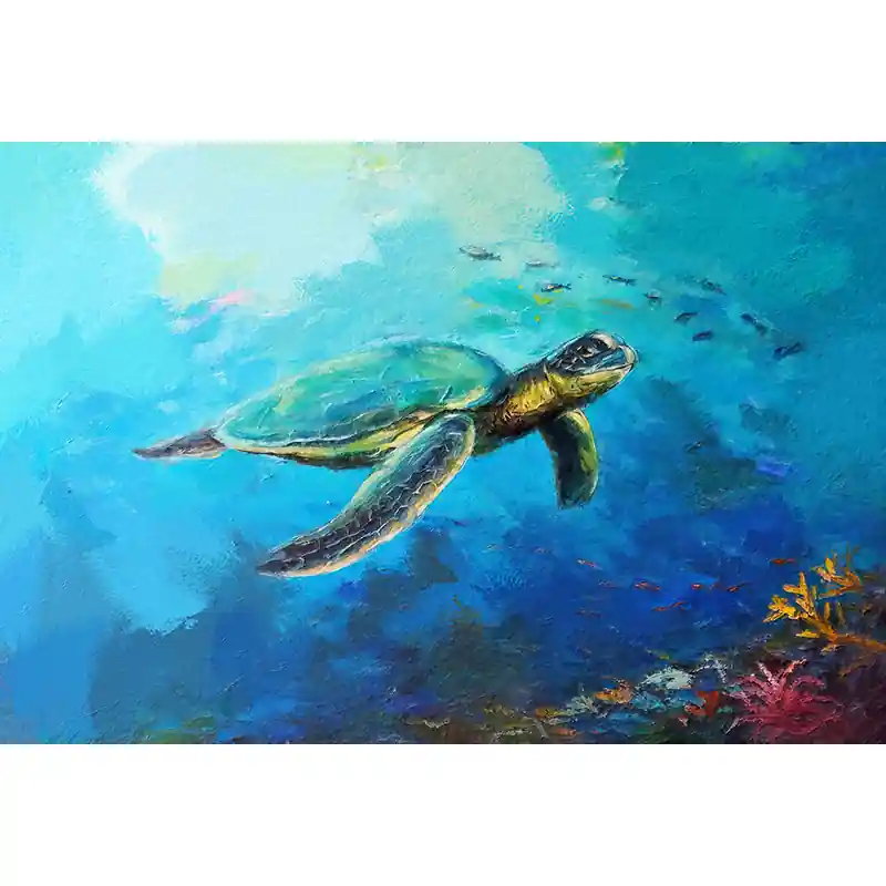 Shop Nu Schildpad 2