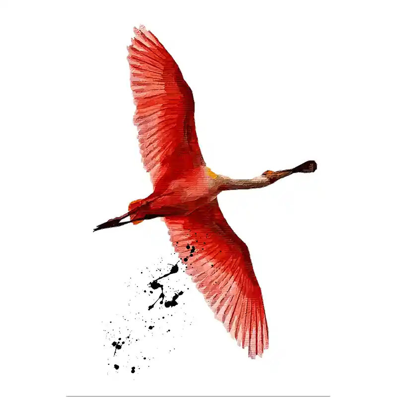 Gereduceerde Prijs Vliegende Flamingo