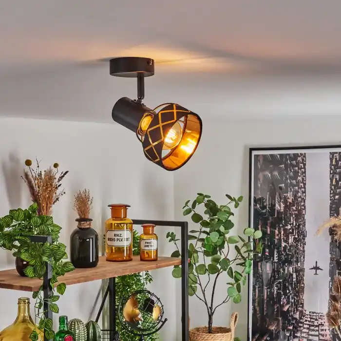 Populair Tarasp Plafondlamp Zwart, 1-licht
