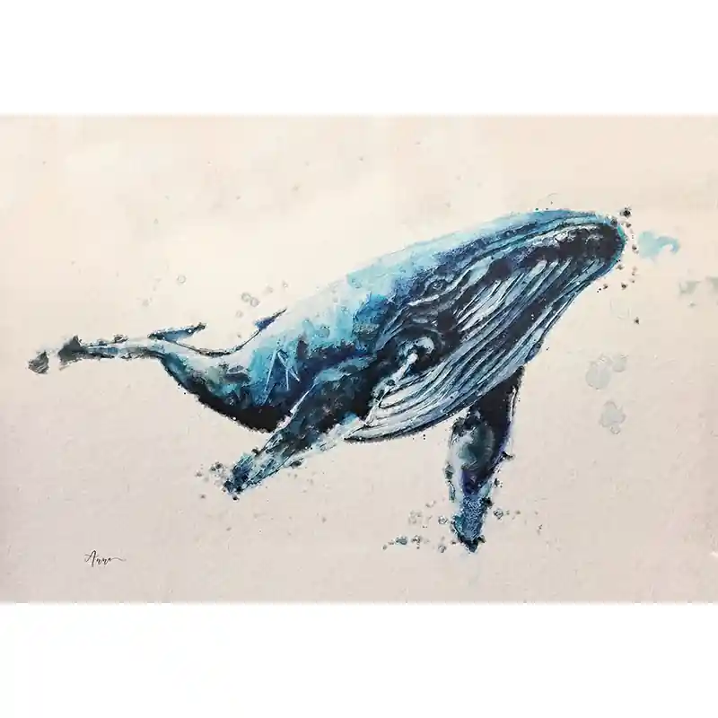Laatste Kans Walvis 1