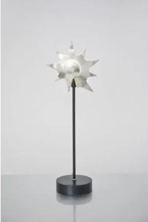 Bestseller Holländer PICCOLA LUMACHE Tafellamp Zwart, Zilver, 1-licht