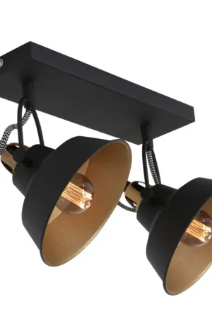 Voordeelprijs Steinhauer Nové Plafondlamp Goud, Zwart, 2-lichts
