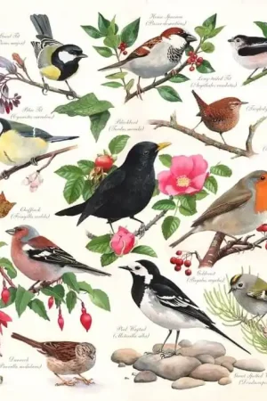 Birds in my Garden puzzel 1000 stukjes Betaalbaar