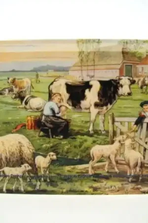 Bestel Nu Dienblad Ot en Sien bij de schapen