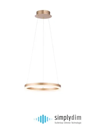 Hoge Kwaliteit Leuchten-Direkt TITUS Hanglamp LED Messing, 1-licht