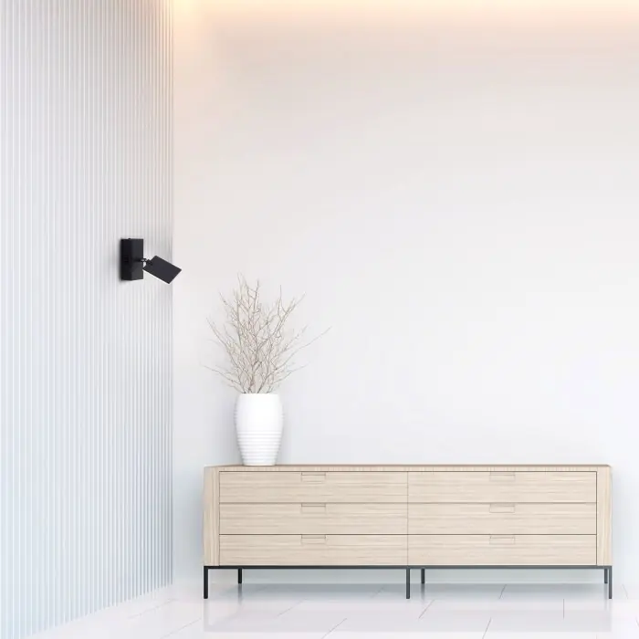 Weekendaanbieding Paul Neuhaus PURE-MIRA Muurlamp LED Zwart, 2-lichts, Afstandsbediening