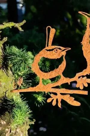 Geluksvogel winterkoning paartje roestbruin Alleen Vandaag