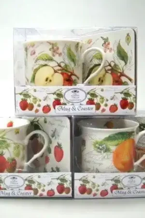 Flitsaanbieding Fruit mok met onderzetter / Leonardo