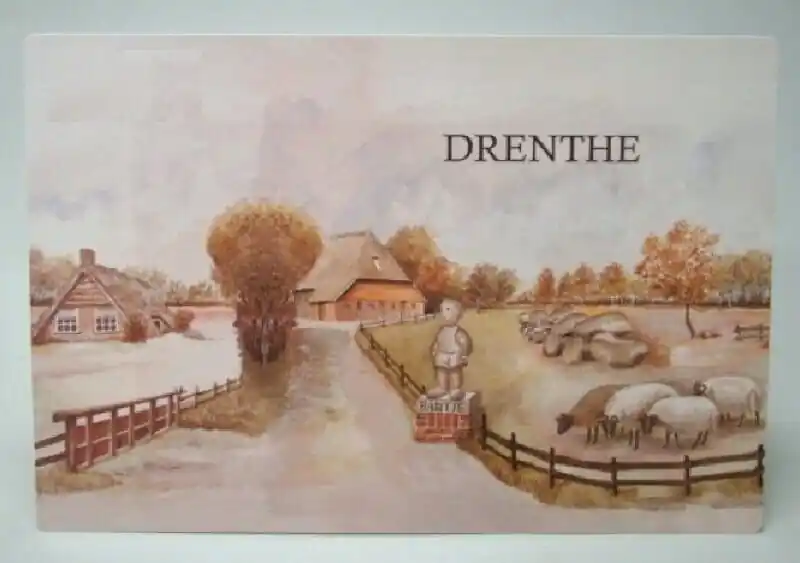 Nu Kopen Placemat Drenthe Bartje