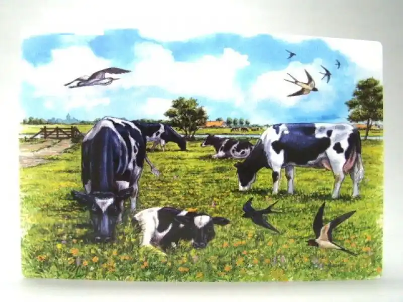 Exclusieve Aanbieding Placemat Koe in de wei