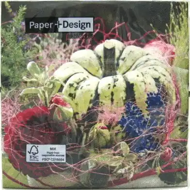 Aanbieding Servetten herfst decoratie