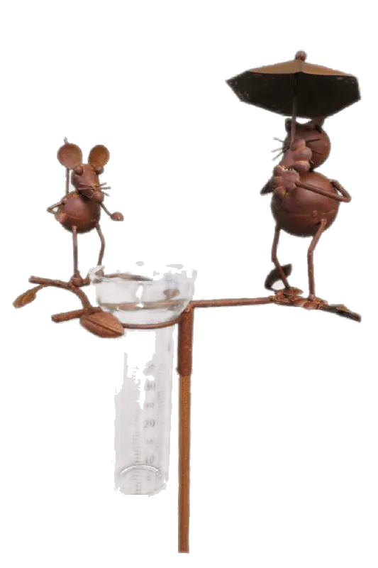 Nieuw Regenmeter Kat & Muis