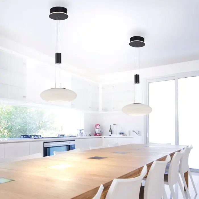 Uitverkoop Paul Neuhaus Q-ETIENNE Hanglamp LED Zwart, 1-licht, Afstandsbediening