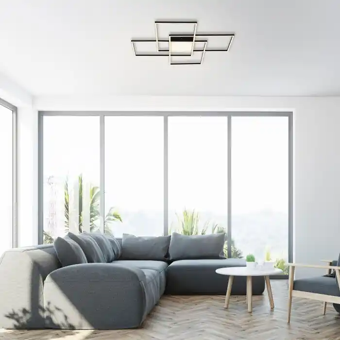 Paul Neuhaus Q-ASMIN Plafondlamp LED Zwart, 1-licht, Afstandsbediening Betrouwbaar