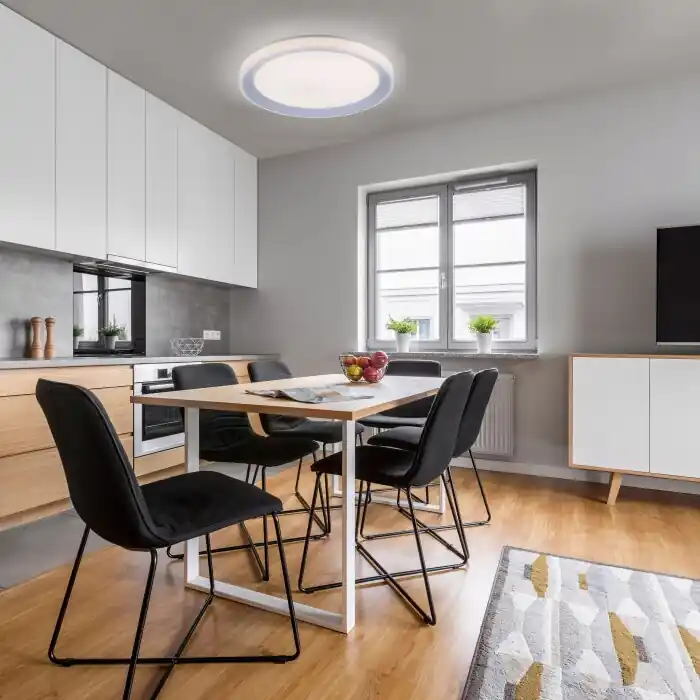 Voordeelprijs Leuchten-Direkt LOLAsmart-LENI Plafondlamp LED Zilver, 1-licht, Afstandsbediening, Kleurwisselaar