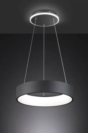Express Levering Wofi-Leuchten SHAY Hanglamp LED Zwart, 1-licht