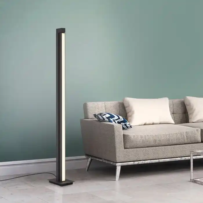 Paul Neuhaus PURE-LINES Staande lamp LED Antraciet, 1-licht, Afstandsbediening Betrouwbaar
