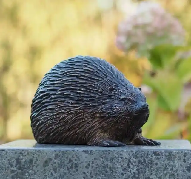 Beeld brons egel Alleen Vandaag
