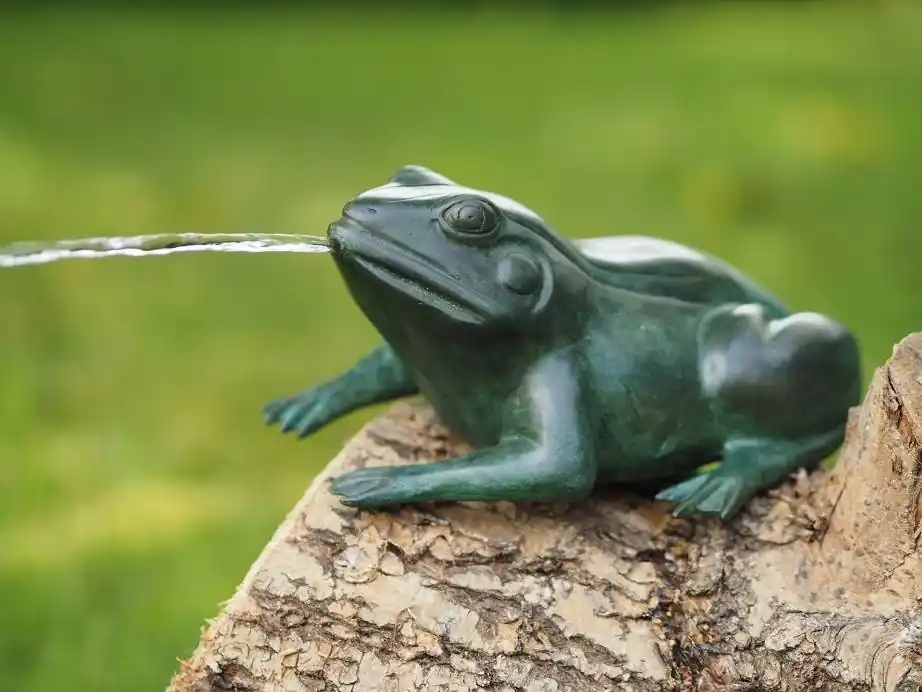 Tijdelijk Beschikbaar Bronzen kikker spuitend