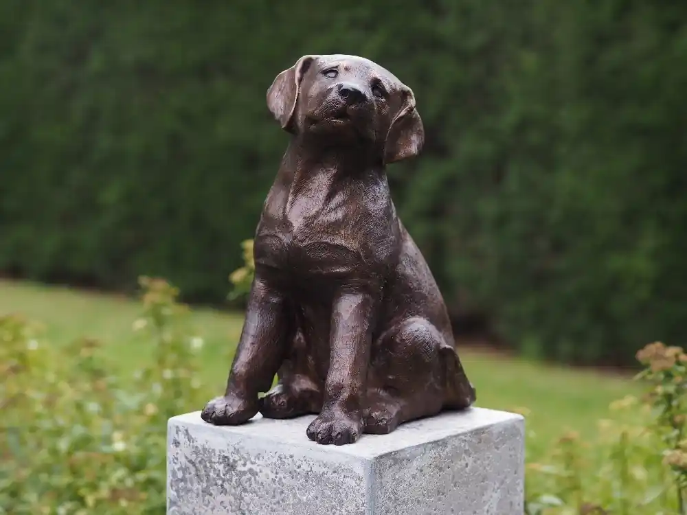 Bronzen puppy Weekendaanbieding