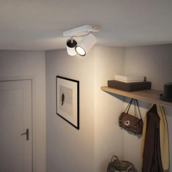 Weekendaanbieding Philips myLiving Kosipo Plafondlamp Wit, 2-lichts