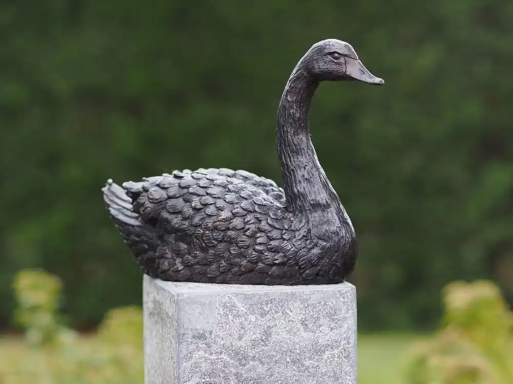 Bronzen zwaan Premium